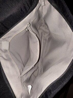 Baggallini crossbody bag ~ very clean interior ~ multiple pockets